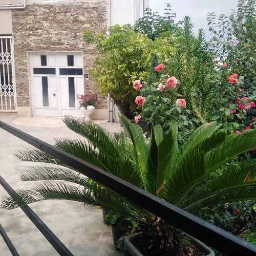 تصویر 5 - ویلا اقامتگاه باغستان  در  شهسوار
