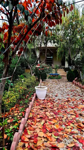 تصویر 21 - ویلا سینوا در گرگان