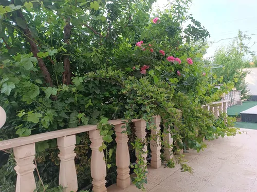 تصویر 27 - ویلا استخر آبسرد بهشت البرز در  سهیلیه