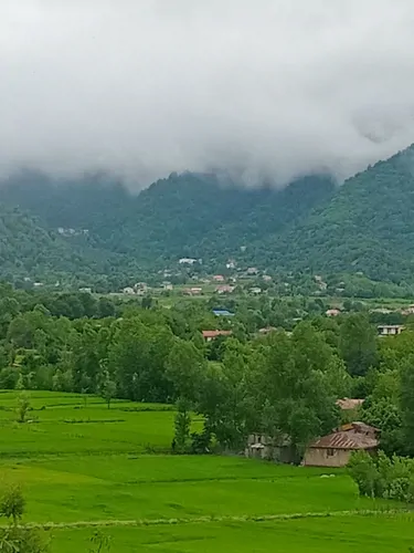 تصویر 12 - ویلا جنگلی نوروزی در  ماسال