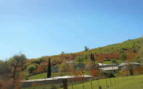 تصویر 11 - کلبه چوبی سید  در  ماسال