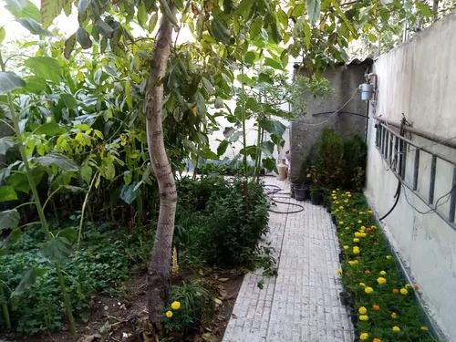 تصویر 2 - خانه فرشتگان در اردبیل