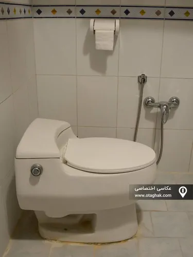 تصویر 15 - آپارتمان مبله در باغ فیض در  تهران
