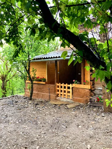 تصویر ۱ - کلبه جنگلی ساره بانو در  شیرگاه