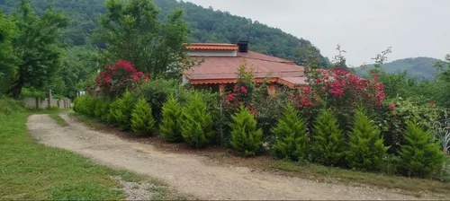 تصویر 12 - ویلا جنگلی موسوی  در  ماسال