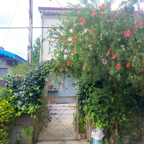 تصویر 20 - ویلا  فاطیما در  املش