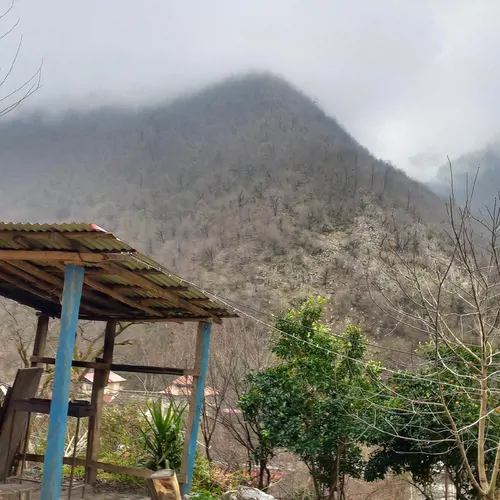 تصویر 15 - کلبه جنگلی دنج در  ماسال