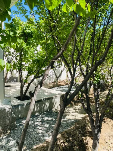 تصویر 22 - ویلا گلستان یاسین (1) در  ماهدشت