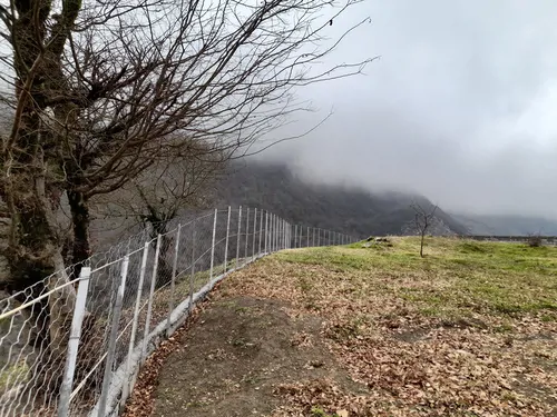 تصویر 12 - ویلا جنگلی لزیر در  چمستان