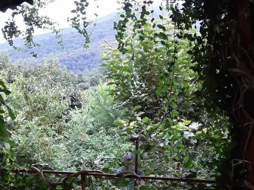 تصویر 3 - ویلا رضایی در علی آباد کتول
