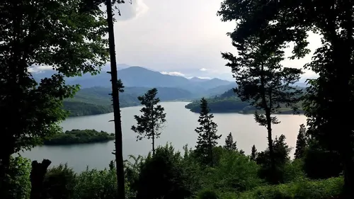 تصویر 16 - کلبه چوبی مرتضی در  سوادکوه