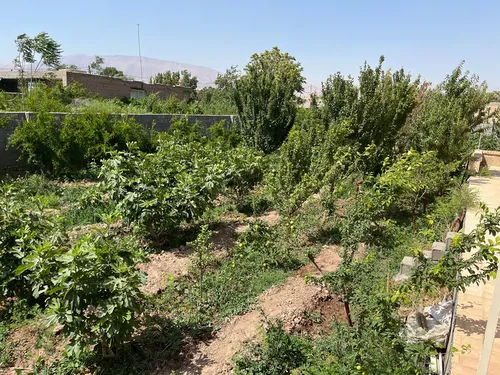 تصویر 12 - ویلا لادن در  گرمسار