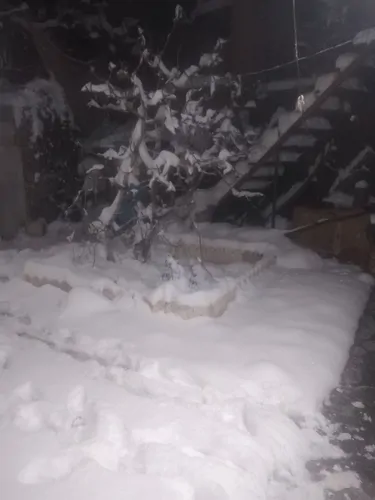 تصویر 19 - ویلا ویلایی رضوان در بوژان در  نیشابور