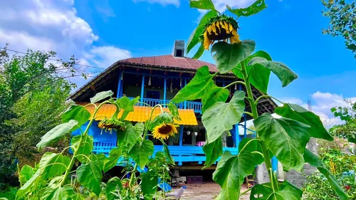 تصویر 2 - خانه پدری در  لاهیجان