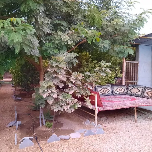 تصویر 8 - خانه ویلایی باغ ابریشم (گورک) در  بوشهر