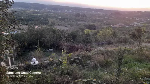 تصویر 2 - ویلا اقامتگاه ویلایی جنگلی الونک در شیرگاه