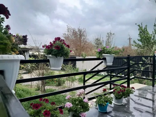 تصویر 15 - کلبه قاصدک در ماسال