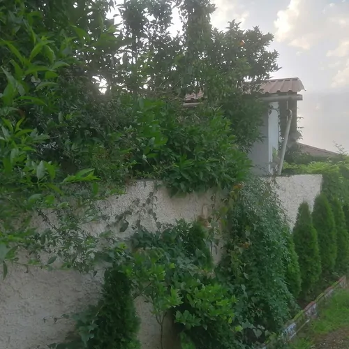 تصویر 4 - ویلا بهشت کوچک  در چمستان