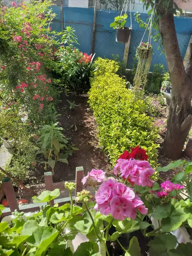 تصویر 16 - ویلا خونه صورتی در  آستارا