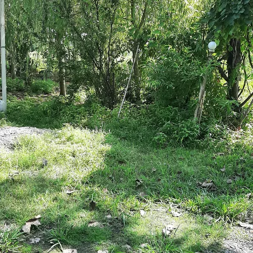 تصویر 3 - ویلا سرای دلپذیر در رشت