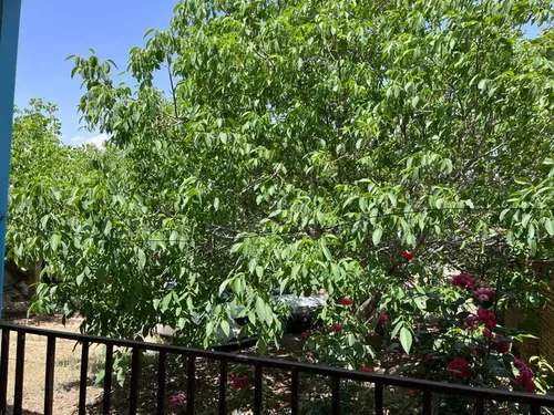تصویر 2 - ویلا خونه اروم روستایی خورشید  در شهرکرد