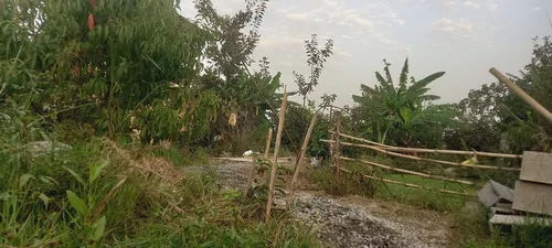 تصویر 4 - کلبه کلبه گلی دوستان در محمودآباد