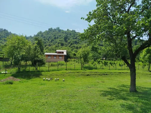 تصویر ۱ - کلبه دیارا در  ماسال