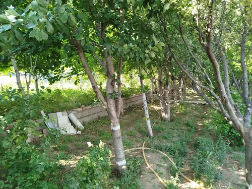 تصویر 8 - سوییت مبله حور (کوه سنگر) در  اردبیل