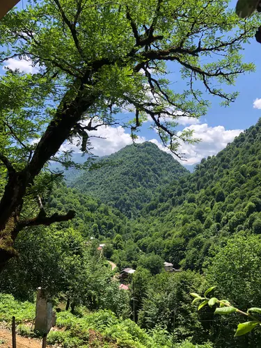 تصویر 11 - ویلا جنگلی رضایی در  ماسال