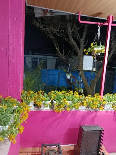 تصویر 20 - ویلا صورتی جنگلی در آستارا