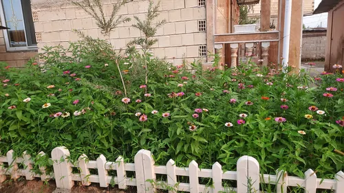 تصویر 15 - کلبه سوئیسی کاسپین در  پره‌سر
