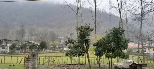 تصویر 4 - ویلا اقامتگاه جنگلی سرسبز در دل کوه طعبیت در شاندرمن