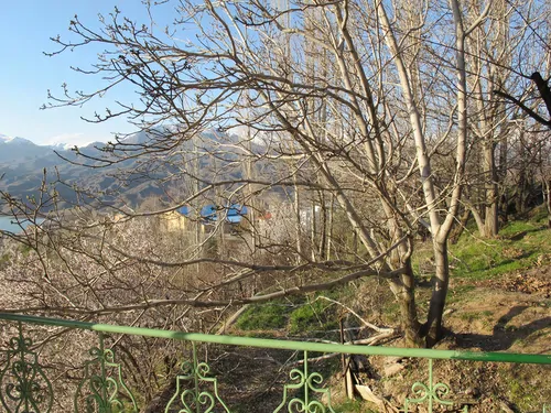 تصویر 18 - ویلا باغ زیدشت در  طالقان