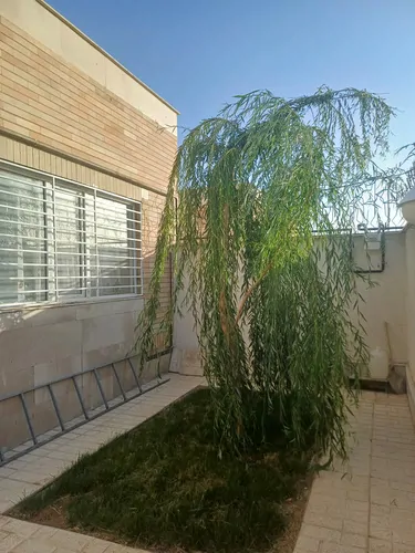 تصویر 17 - ویلا سامین در اراک