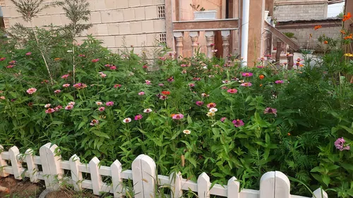 تصویر 11 - ویلا کاسپین نزدیک دریا در  پره‌سر
