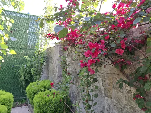تصویر 19 - کلبه چوبی روشنا در بابل