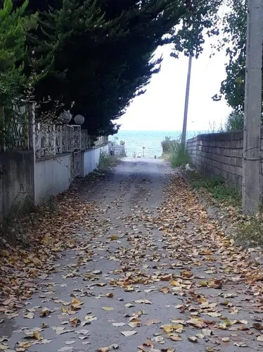 تصویر 5 - ویلا ویلا دوبلکس در  نوشهر
