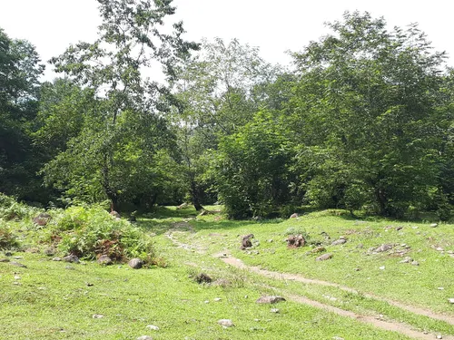 تصویر 31 - ویلا جنگلی گالش کلا در  شیرگاه
