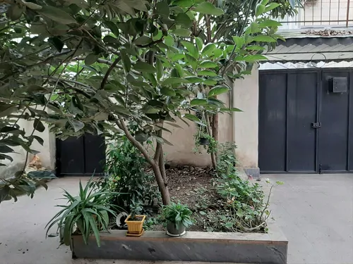 تصویر 2 - ویلا پوریا در رشت