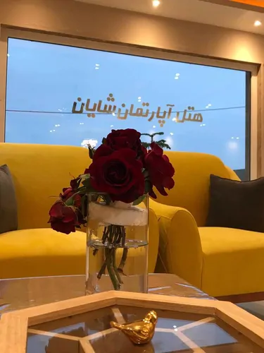 تصویر 8 - هتل آپارتمان شایان (واحد 1 خواب)  در  انزلی