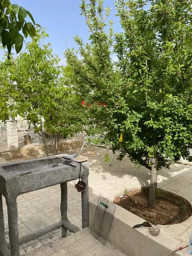 تصویر 3 - ویلا عامو کمال  در شیراز