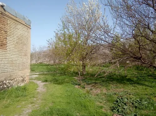 تصویر 4 - خانه خانه عزیزی در اردبیل