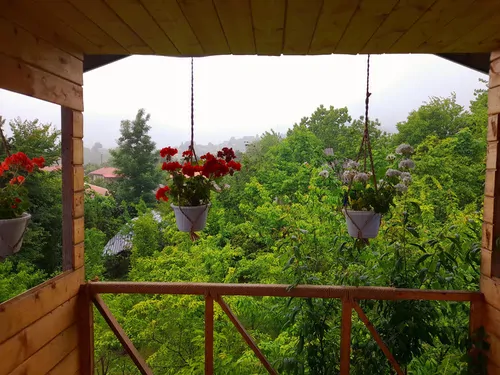 تصویر 12 - کلبه جنگلی آراد در  ماسال