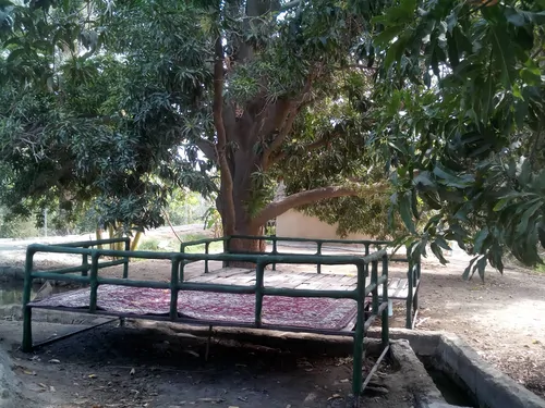 تصویر 3 - اقامتگاه بوم‌گردی مرادی (کپر سنتی بزرگ با استخر روباز) در میناب