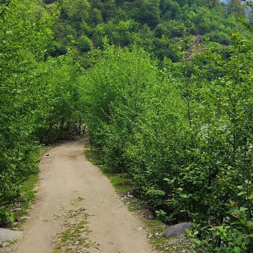 تصویر 2 - ویلا ویلای‌هلما در اسالم