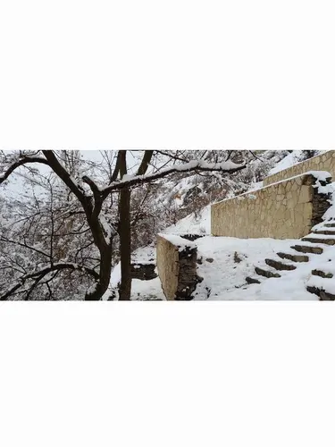 تصویر 2 - اقامتگاه بوم‌گردی باغ در شاندیز