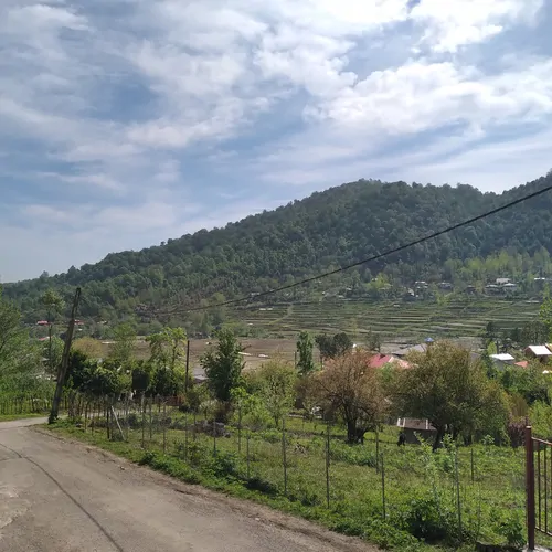 تصویر 12 - کلبه سوئیسی حسنخانی  در  ماسال