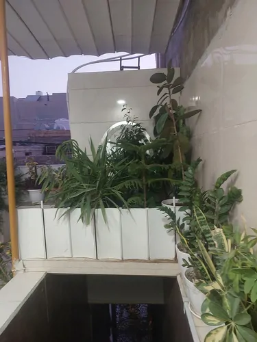 تصویر 13 - خانه سامان در  بوشهر