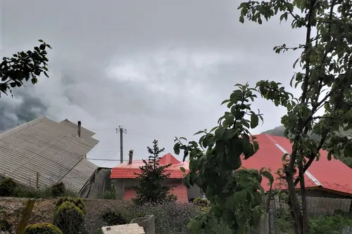 تصویر 20 - ویلا جنگلی بر فراز ابرها در  رامسر