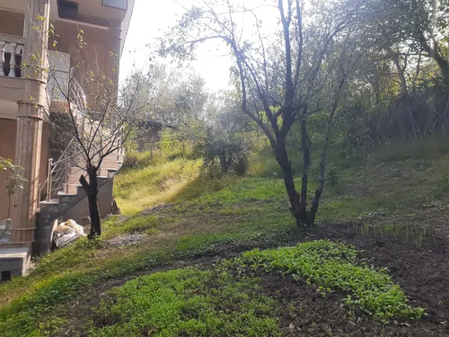 تصویر 10 - آپارتمان جنگلی گلسرک در  سراوان